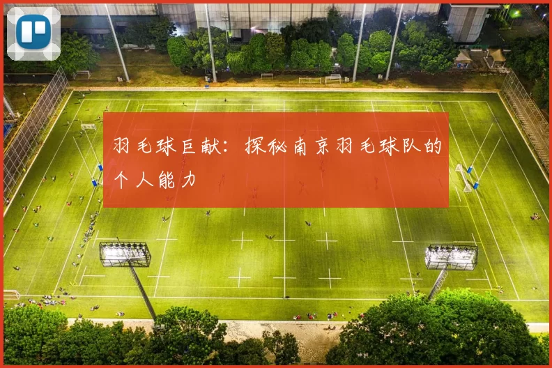 羽毛球巨献：探秘南京羽毛球队的个人能力