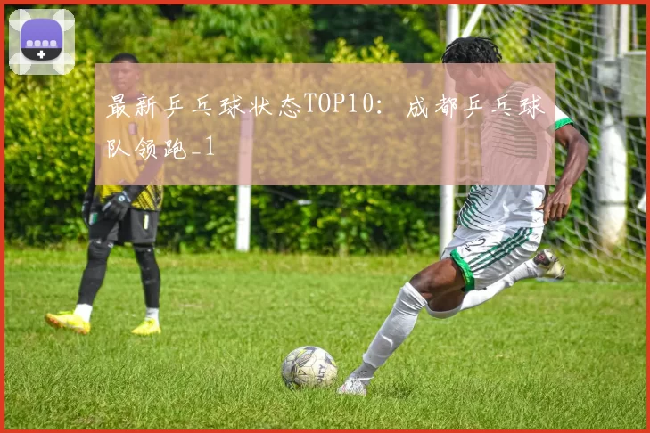 最新乒乓球状态TOP10：成都乒乓球队领跑_1